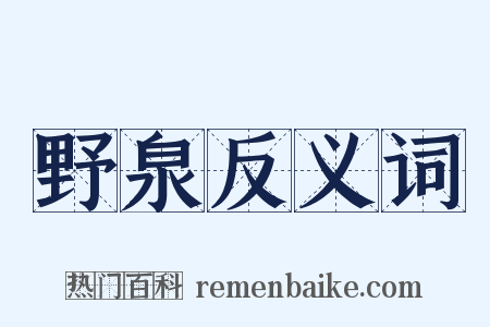 野泉反义词是什么意思的图片
